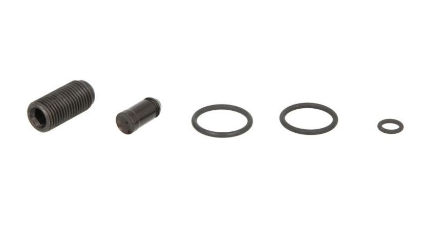 Sortimente inele etansare, injector VW JETTA IV (162, 163, AV3, AV2) ENGITECH ENT280093