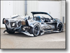 Spider NSF Golf 2, sculptura in fibra sau kitsch?