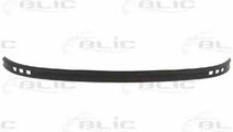 Spoiler FORD TOURNEO CONNECT BLIC 5511-00-2507220P