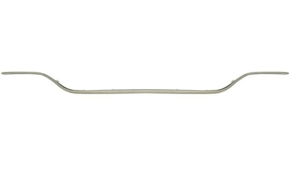 Spoiler spate (5511003531971P BLIC) MERCEDES-BENZ