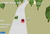 Sprint Race 3D