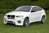 Status Design SD F16 - Tunning pentru BMW X6