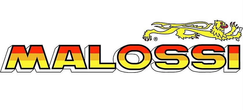 Sticker Moto Malossi 15x4cm