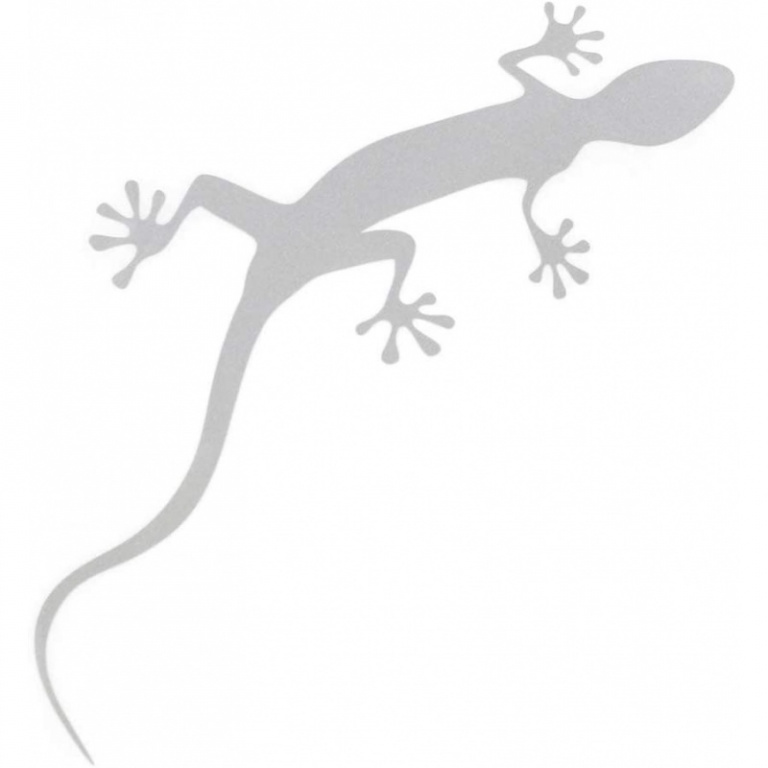 Sticker Soparla Oe Audi Argintiu Floret Silver Metallic 4L0064317Z7G