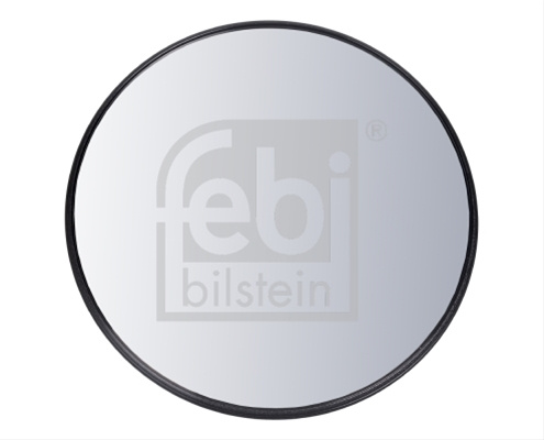Sticla Oglinda Oglinda Fata Febi Mercedes-Benz 101382