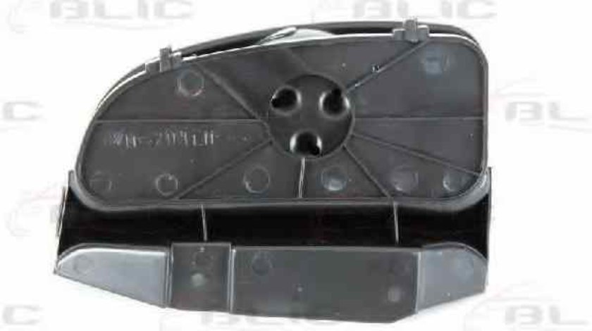 Sticla oglinda oglinda retrovizoare exterioara FIAT DUCATO caroserie 230L BLIC 6102-02-1252921P