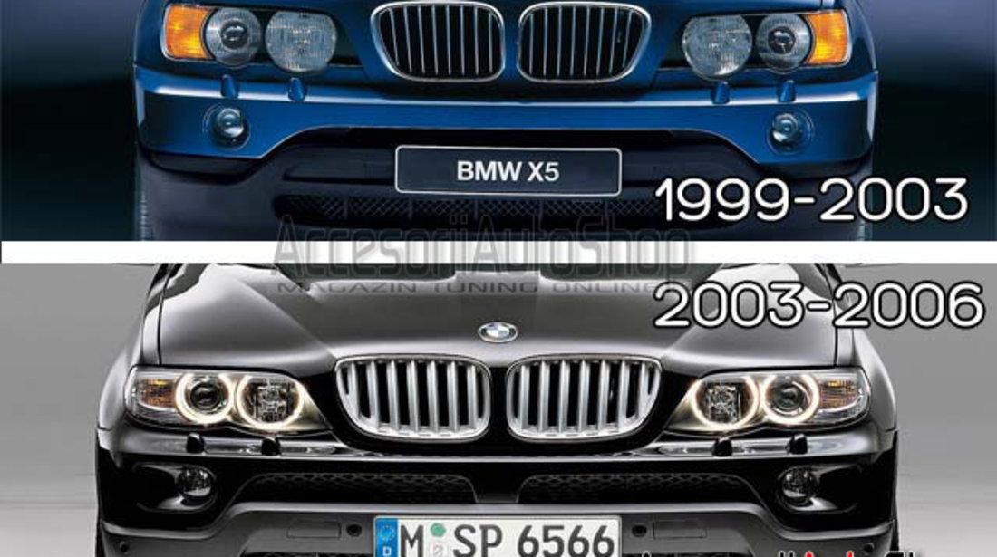 Sticle far BMW X5 E53 1999-2003