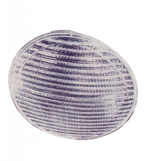 STOPURI CLARE VW NEW BEETLE FUNDAL CRISTAL -COD FKRL07141