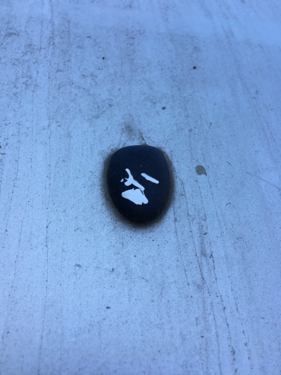 Stropitor stanga parbriz Peugeot 307 [2001 - 2005] Hatchback 5-usi (3A/C)