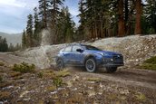 Subaru Crosstrek Wilderness