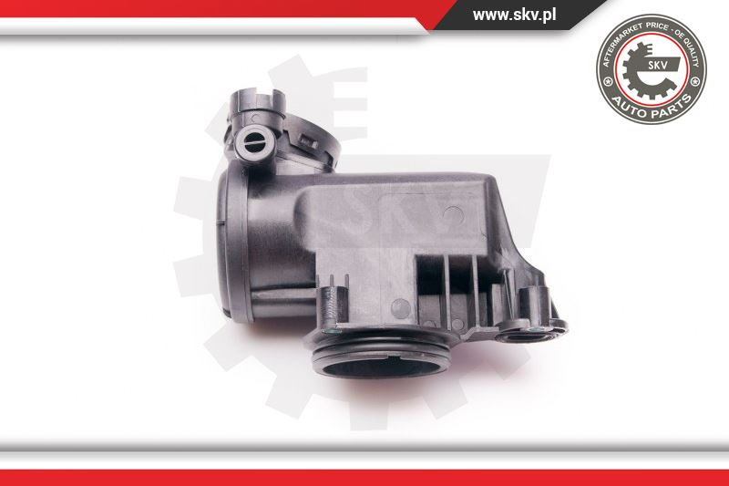 Supapa absorbtie ; AUDI A2 SEAT Altea Altea XL Cordoba ; 036103464AH