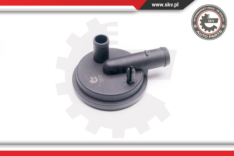 Supapa absorbtie ; AUDI A3 SEAT Cordoba Leon Toledo ; 028129101E