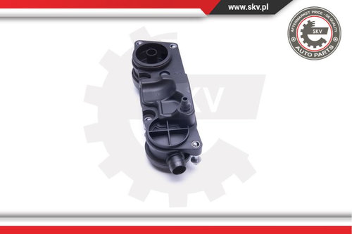 Supapa absorbtie ; MERCEDES-BENZ C-Class CLC CLK E-Class S-Class ; 6460101462