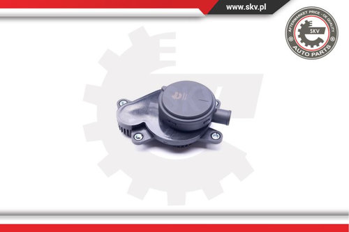 Supapa absorbtie ; MERCEDES-BENZ C E Class Sprinter ; 6110160134