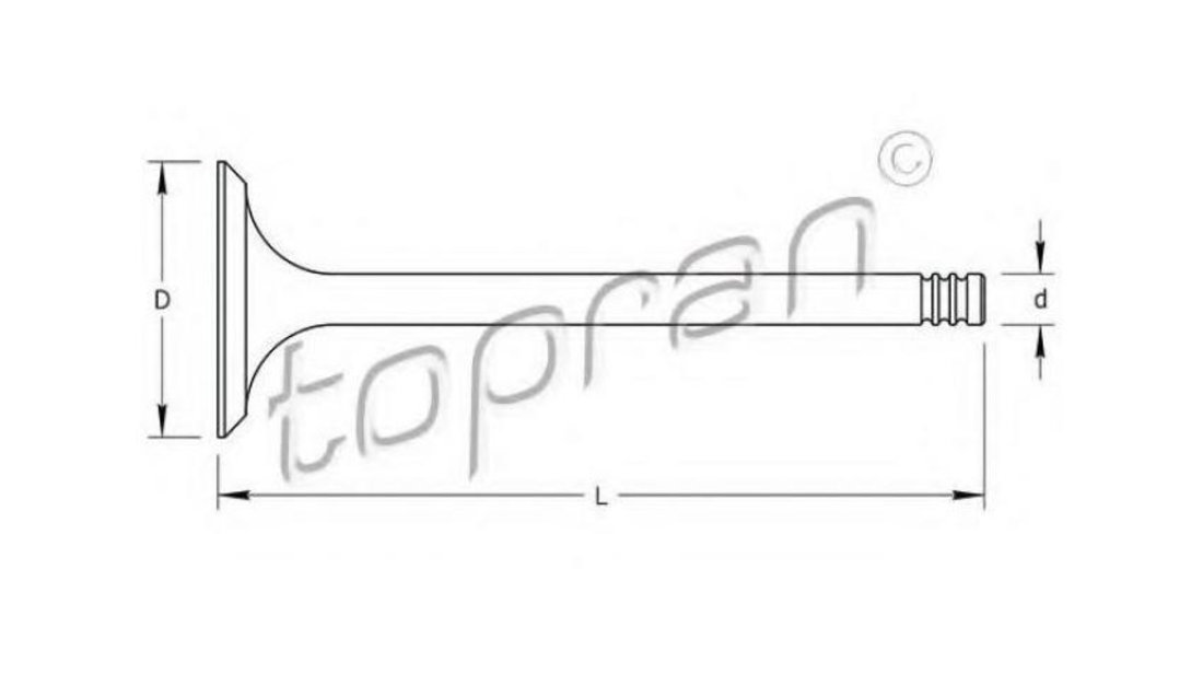 Supapa admisie Audi AUDI 80 (8C, B4) 1991-1994 #2 0123125SX