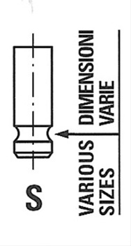 Supapa Admisie Freccia General Motors R6462/SCR
