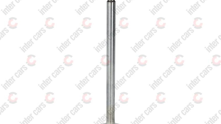 Supapa admisie MAN NL Producator FRECCIA R6576/BMCR