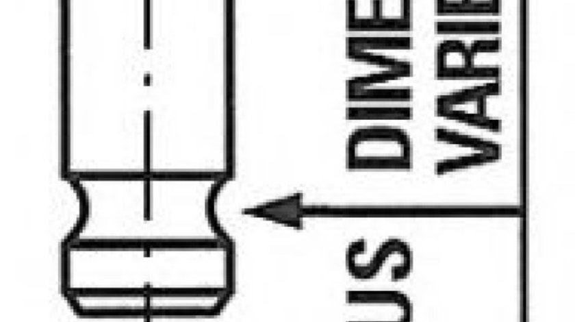 Supapa admisie NISSAN PATHFINDER III (R51) (2005 - 2012) FRECCIA R6284/SNT - produs NOU