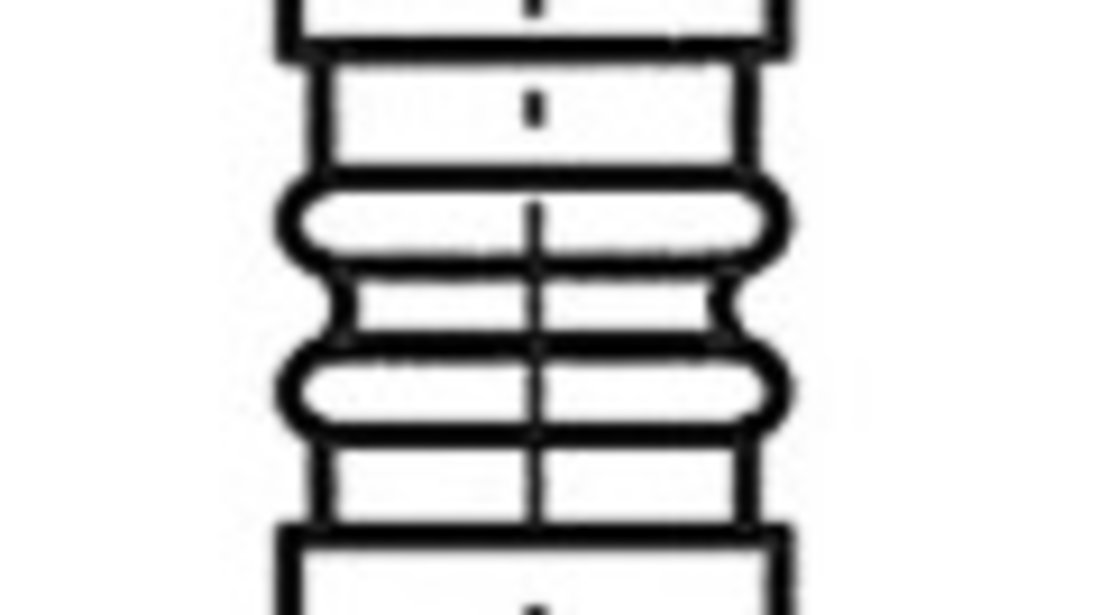 Supapa admisie (R6663S FRE) BMW,Citroen,DS,IRAN KHODRO (IKCO),MINI,OPEL,PEUGEOT,PGO