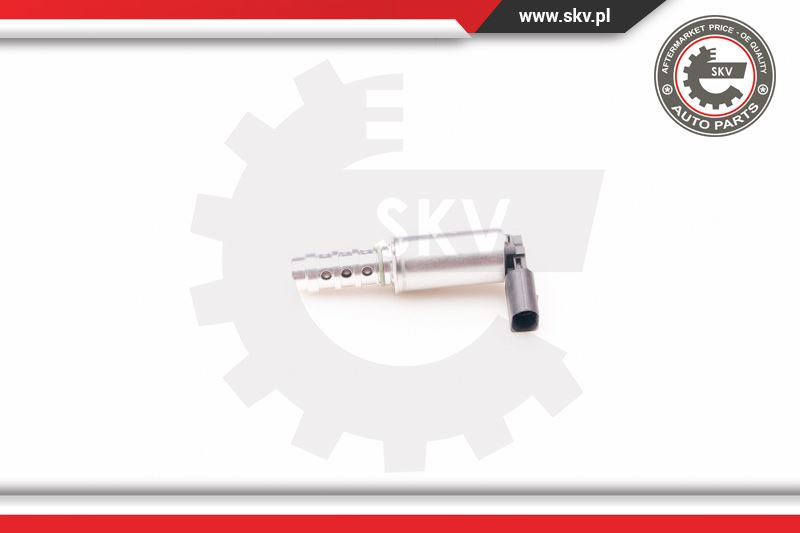 Supapa comanda, pozitie arbore ; AUDI CHEVROLET SEAT SKODA VW ; 06F109257A