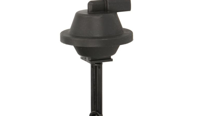 Supapa control valva EGR AUDI A3; SEAT CORDOBA, IBIZA II, LEON, TOLEDO II; SKODA OCTAVIA I; VW BORA, GOLF IV, NEW BEETLE, POLO CLASSIC 1.6 intre 1995-2007