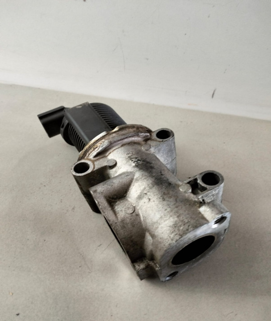 Supapa EGR 1.9 JTD 50024005 Suzuki SX4 [2006 - 2014]