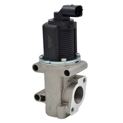 Supapa EGR (571822112007 MAGNETI MARELLI) ALFA ROMEO,FIAT,OPEL,SAAB,SUZUKI