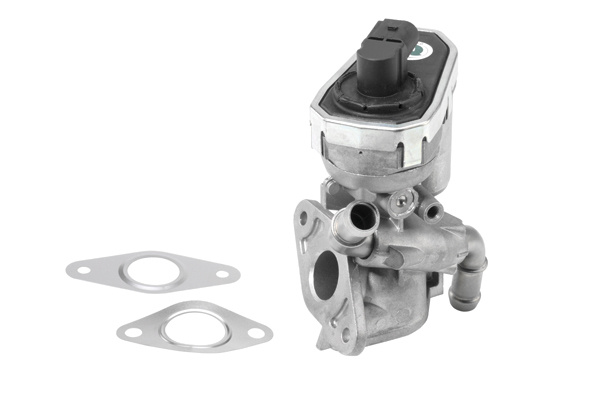 Supapa EGR (710941R WAHLER) FORD