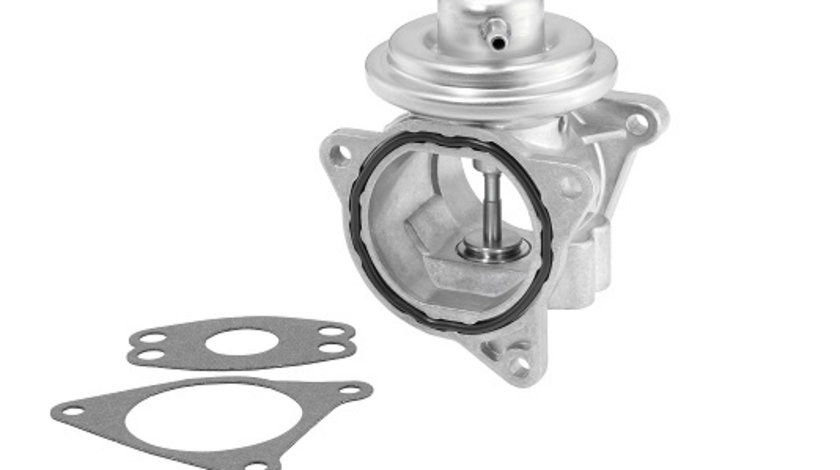 Supapa EGR (7496D1 WAHLER) AUDI,CHRYSLER,DODGE,JEEP,MITSUBISHI,SEAT,SKODA,VW