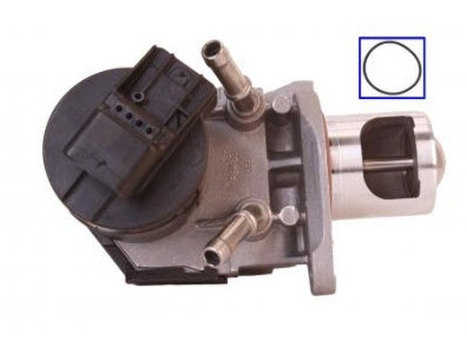 Supapa EGR BMW Seria 3 (F30, F35, F80) (2011 - 2016) QWP WEG159 piesa NOUA