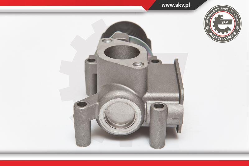 Supapa EGR ; FIAT Doblo Punto Strada ; 46535796