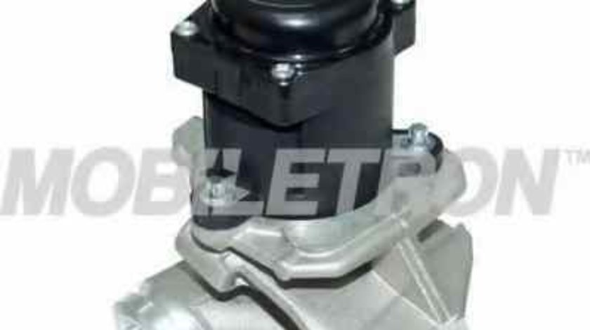 Supapa EGR FORD C-MAX DM2 ENGITECH ENT500022