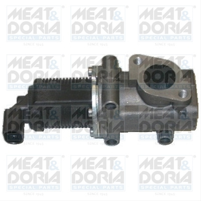 Supapa Egr Meat & Doria Fiat 88007