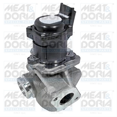 Supapa Egr Meat & Doria Ford 88219