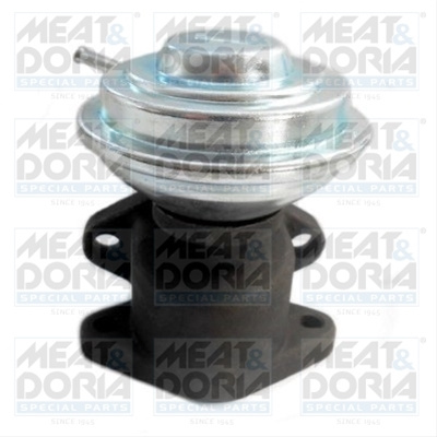 Supapa Egr Meat & Doria Vw 88025