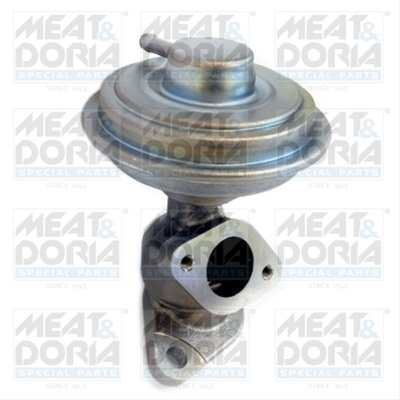 Supapa Egr Meat & Doria Vw 88313