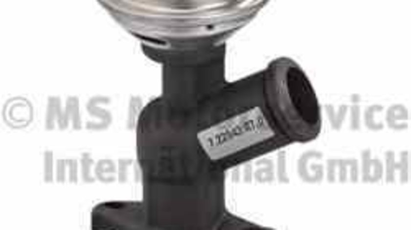Supapa EGR PEUGEOT 406 8B Producator PIERBURG 7.22843.07.0