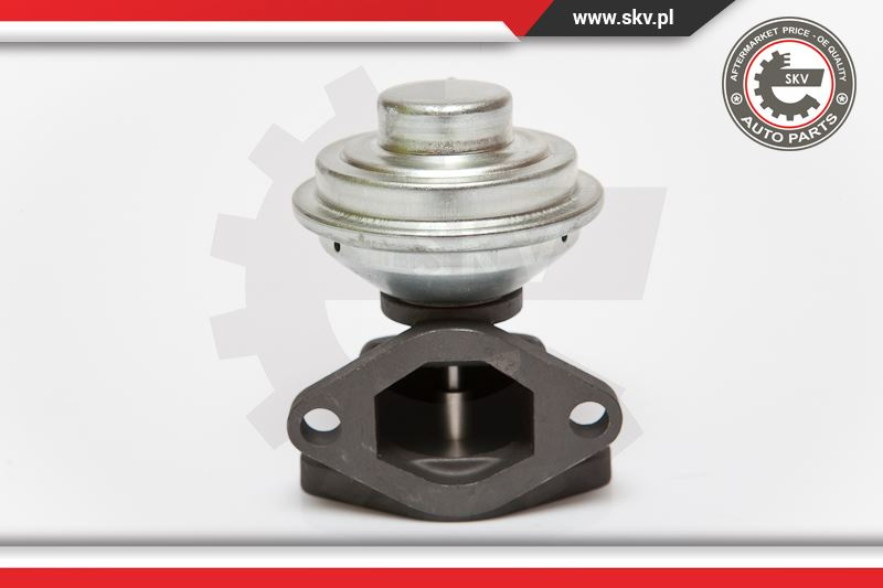 Supapa EGR ; RENAULT Laguna ; 17098055
