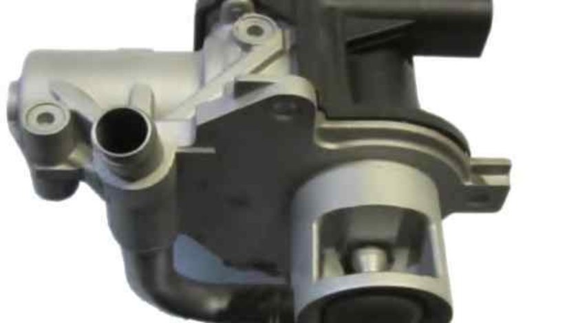 Supapa EGR RENAULT MEGANE CC (EZ0/1_) RENAULT 8200846454