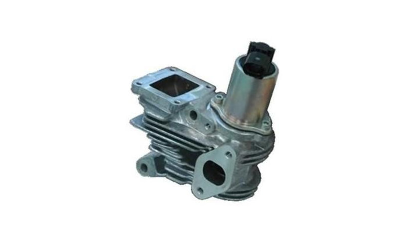 Supapa egr Renault MEGANE II (BM0/1_, CM0/1_) 2002-2011 #2 555205