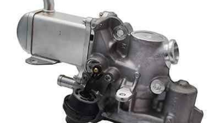 Supapa EGR RENAULT MEGANE III cupe (DZ0/1_) RENAULT 14710-6293R