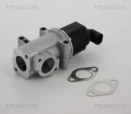 Supapa Egr Triscan Alfa Romeo 8813 10015