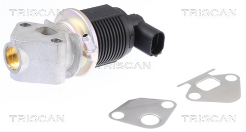 Supapa Egr Triscan Audi 8813 29009