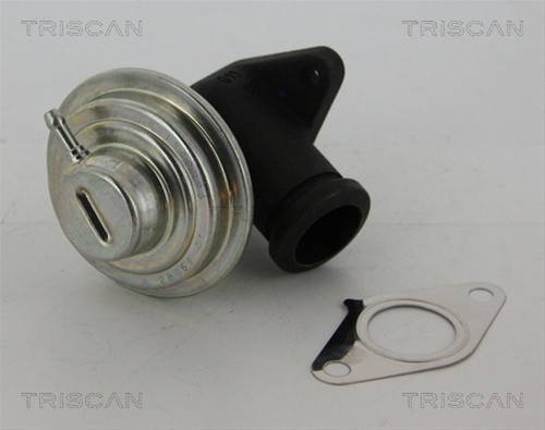 Supapa Egr Triscan Citroën 8813 28042
