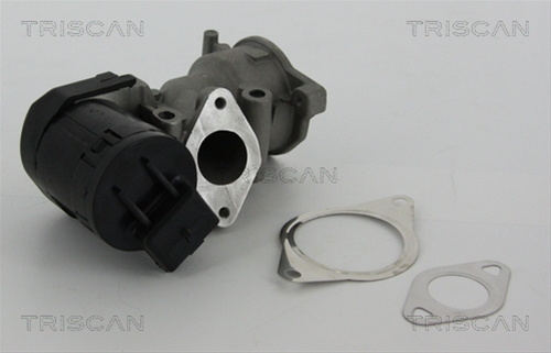 Supapa Egr Triscan Ford 8813 10001