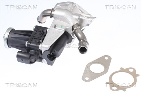 Supapa Egr Triscan Ford 8813 16150