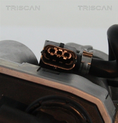 Supapa Egr Triscan Ford 8813 16202