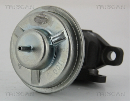 Supapa Egr Triscan Hyundai 8813 43003