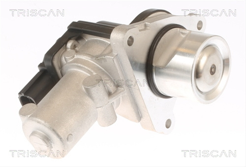 Supapa Egr Triscan Hyundai 8813 43010