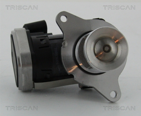 Supapa Egr Triscan Mercedes-Benz 8813 23006
